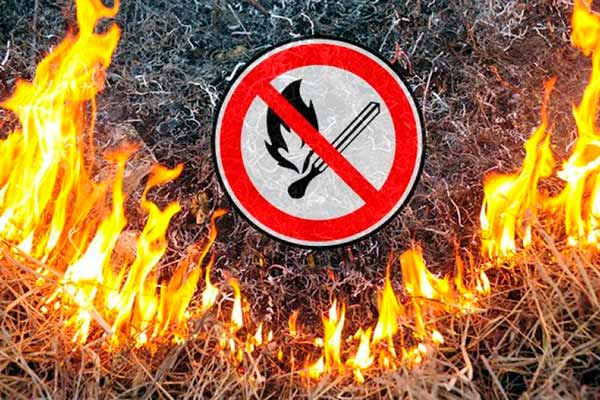 Самовільне спалювання сухої рослинності