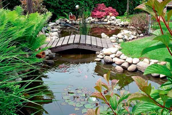 Оборудование для аквариума и пруда