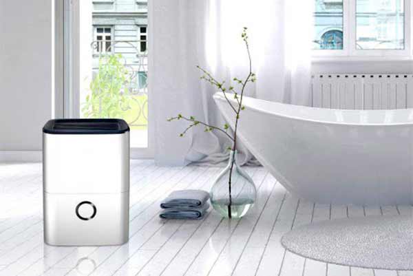 Грибок на стенах: как избавиться Грибок на стенах: как избавиться