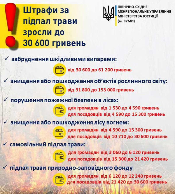 Штрафи за підпал сухої збільшено у 18 разів