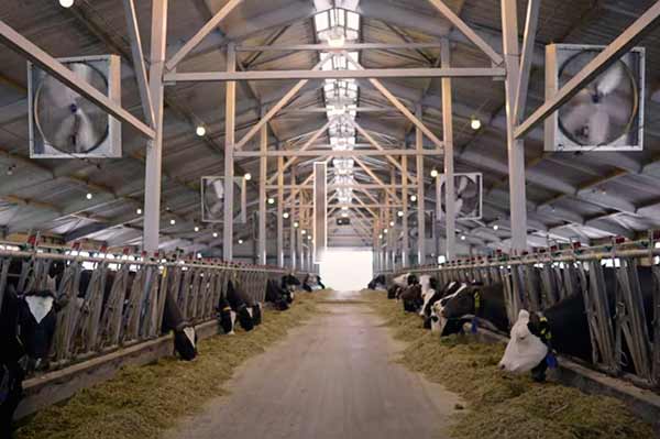 ТОВ “Молоко Вітчизни”