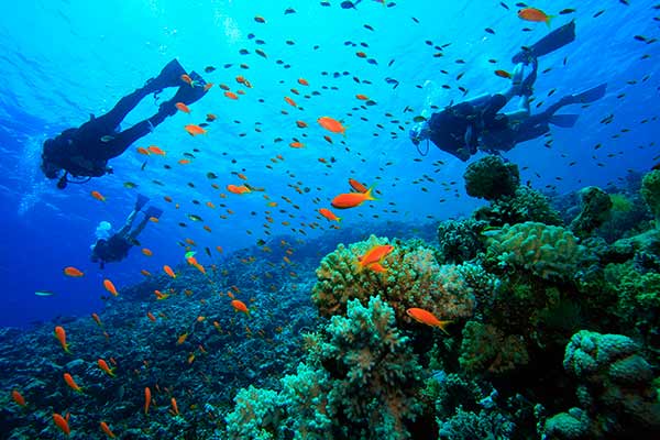 Как провести отпуск, наполненный адреналином