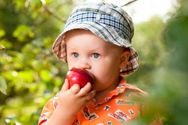 Головные уборы оптом от производителя в Украине