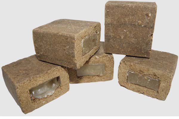 Кампанія з вакцинації диких м’ясоїдних проти сказу