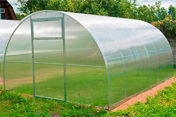 Теплицы из поликарбоната