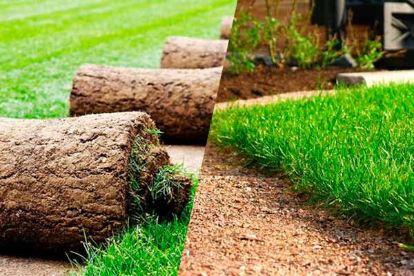 Укладка рулонного газона Укладка рулонного газона