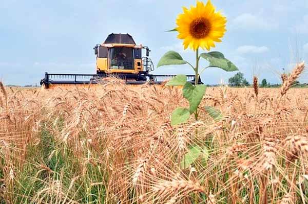 На що потрібно звертати увагу при купівлі землі На що потрібно звертати увагу при купівлі землі