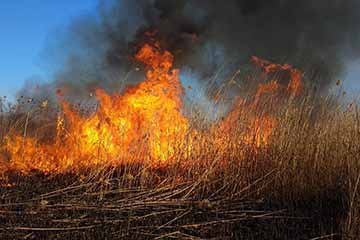  За самовільне спалювання рослинних решток на громадян накладається <b>штраф</b> у сумі від 3060 до 6120 гривень 