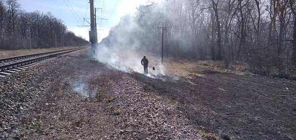 самовільне спалювання рослинних решток