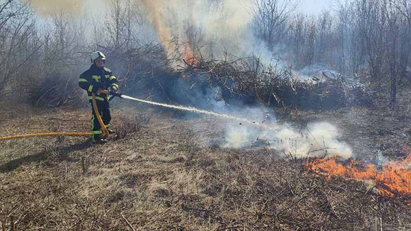 самовільне спалювання рослинних решток