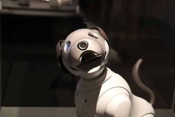 робот-собака