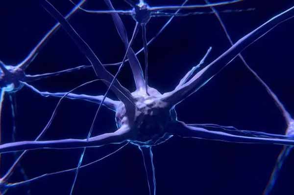 Нейробіологи виявили «обертання» спогадів