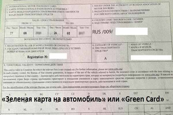 Страховой полис «Зеленая карта» Страховой полис «Зеленая карта»