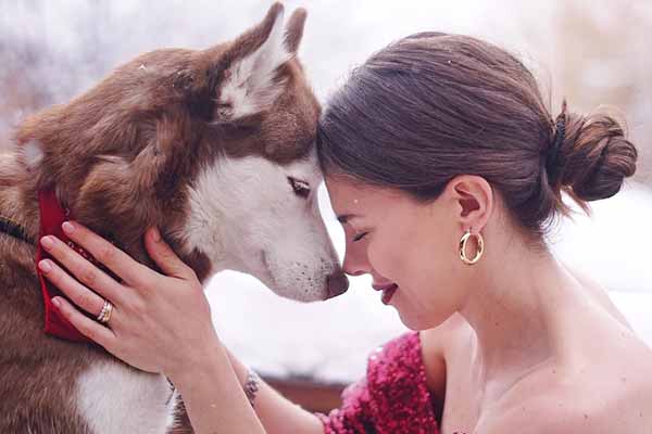 зоотовари для собак