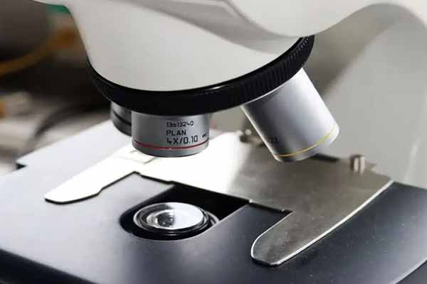 Мікроскоп Мікроскоп