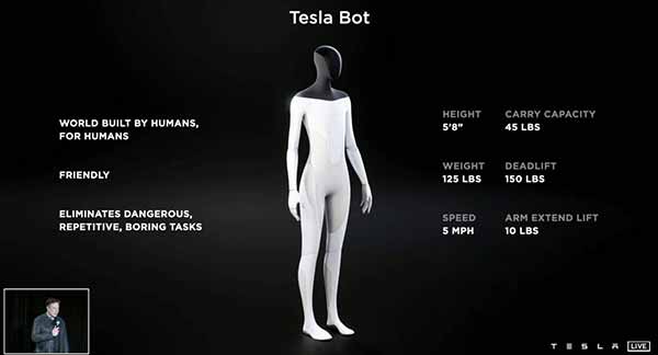 робот Tesla Bot
