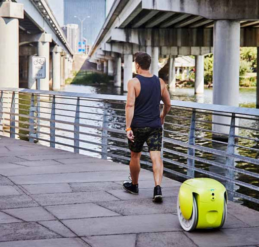 Вантажний робот Gitamini, всюди слідує за своїм власником