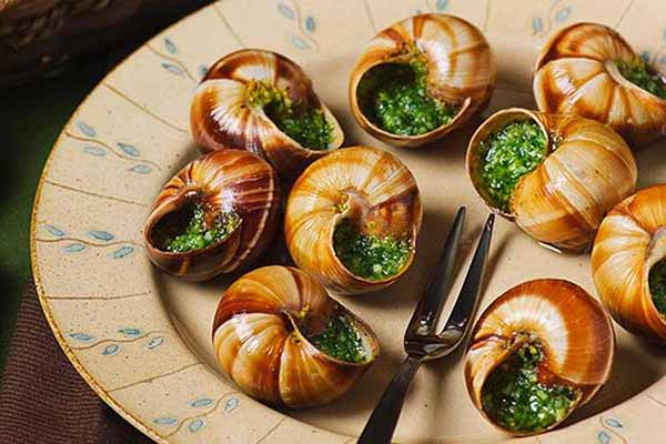 їстівні равлики їстівні равлики