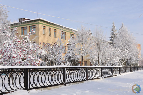 Стаціонарне відділення, Гребінківська ЦРЛ