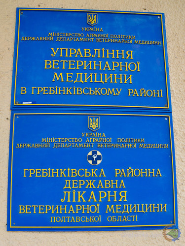 ГРЕБІНКІВСЬКА РАЙОННА ДЕРЖАВНА ЛІКАРНЯ ВЕТМЕДИЦИНИ