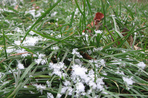  Як і обіцяли <b>синоптики</b>, у суботу в Гребінці пішов перший сніг... 