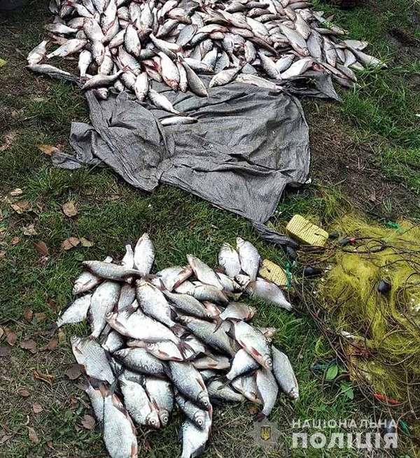 На Полтавщині браконьєр наловив риби майже на 100 тисяч гривень