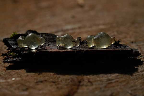 унікальні амфороподібні скляні підвіски унікальні амфороподібні скляні підвіски