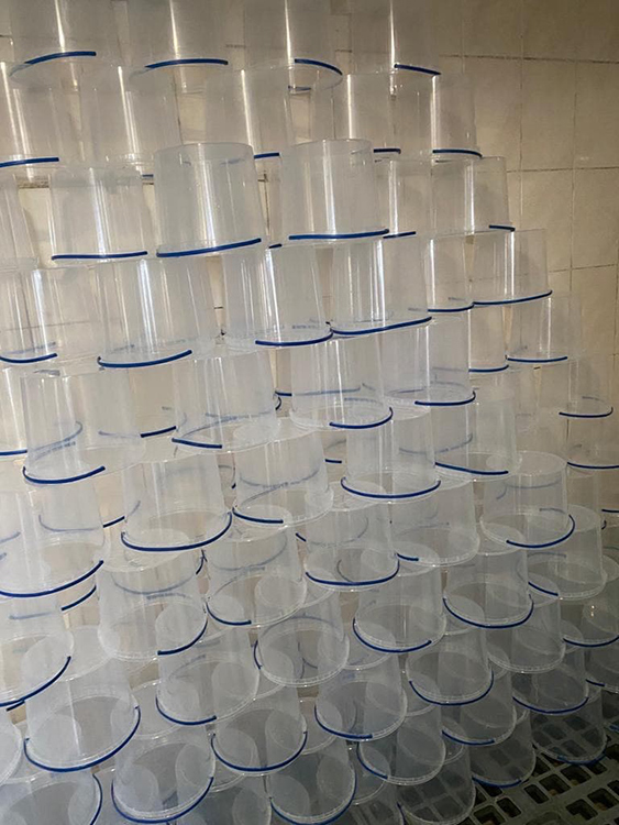 Антисанітарія на молокопереробному підприємстві у Біликах