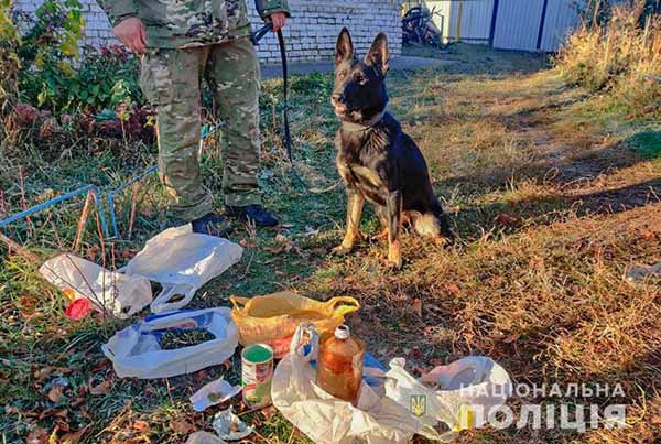 Жителя Полтавщини обвинувачують у зберіганні півтисячі пігулок екстазі