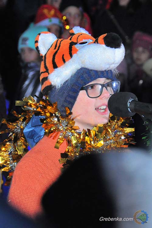 У Гребінці засяяла новорічна ялинка