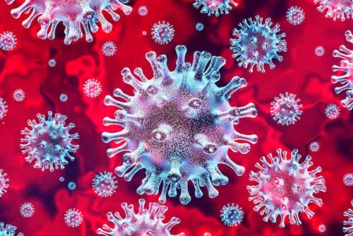  <b>11</b> нових випадків захворювання на коронавірус виявили за добу на Гребінківщині 
