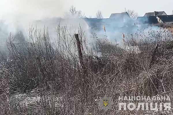 недопущення спалювання сухостою