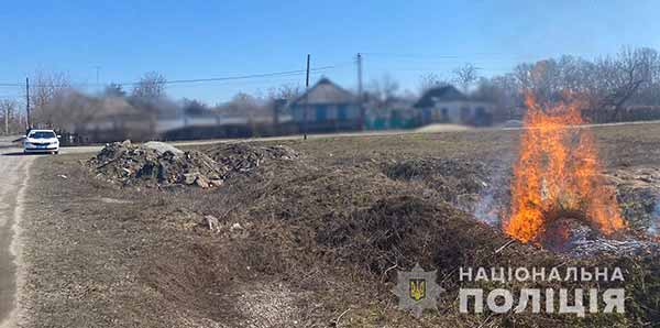 недопущення спалювання сухостою