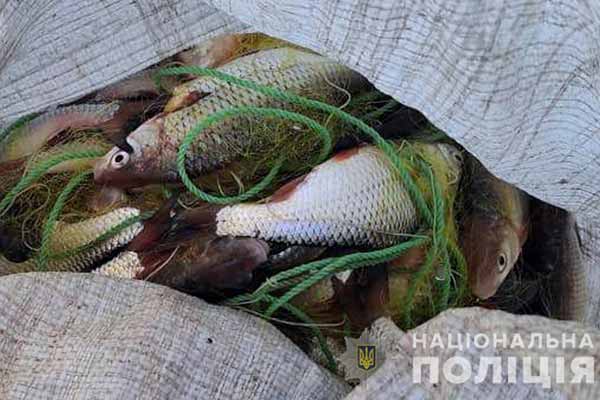 На Полтавщині спіймали браконьєра з уловом на понад 1,7 мільйона