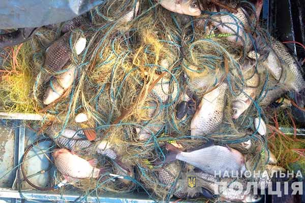 Незаконний вилов риби на Полтавщині