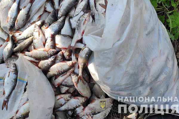 На Полтавщині спіймали браконьєра з уловом на понад 1,7 мільйона