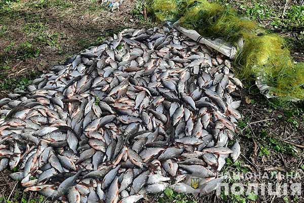  На Полтавщині спіймали браконьєра з уловом на понад 1,7 мільйона гривень 