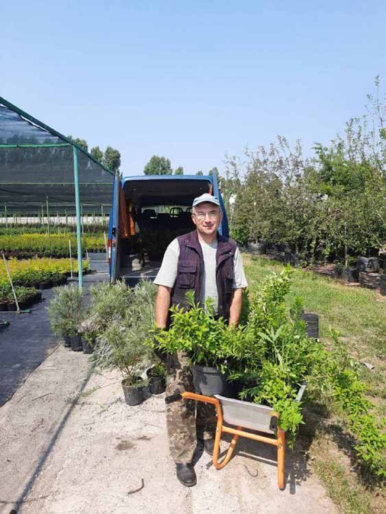 саджанці верби висаджено у населених пунктах Пирятинської громади