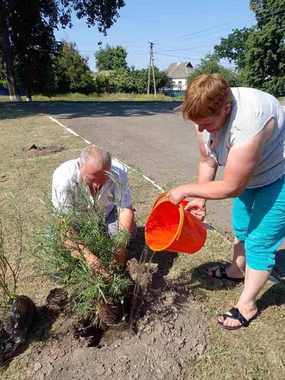 саджанці верби висаджено у населених пунктах Пирятинської громади