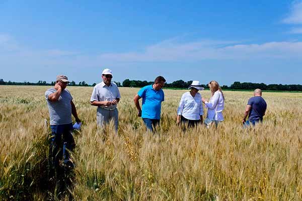 На Полтавщині розпочалися жнива