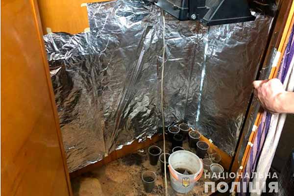 У жителя Полтави поліція виявила 5 кілограмів канабісу