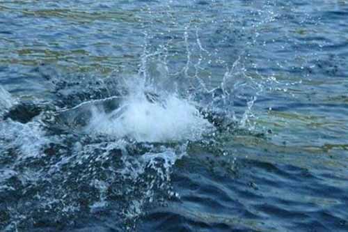 На Полтавщині у річці потонув 63-річний чоловік