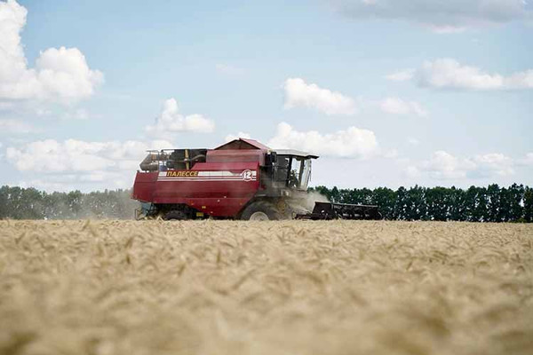 На Полтавщині тривають жнива