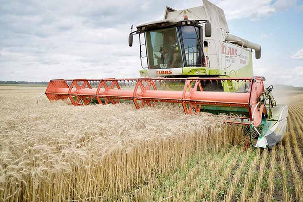 На Полтавщині тривають жнива