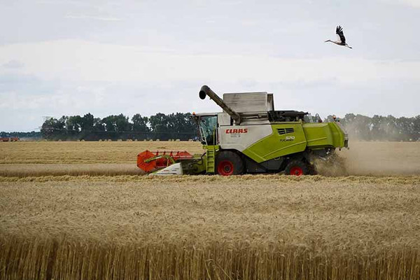 На Полтавщині тривають жнива