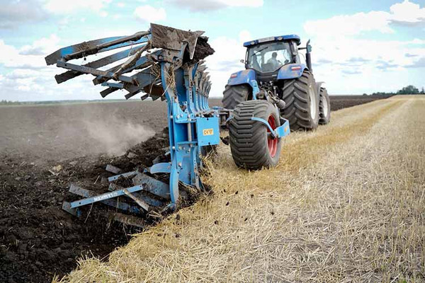 На Полтавщині тривають жнива