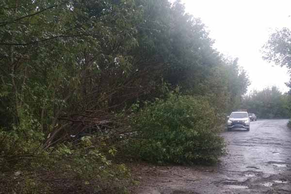 На Полтавщині Dasia злетіла у кювет