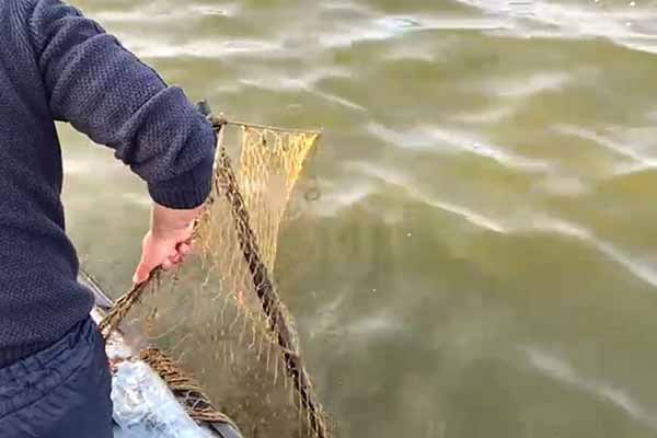 На Полтавщині вилучили понад кілометр браконьєрських сіток