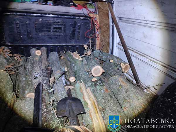 На Полтавщині затримано чергового «чорного лісоруба»