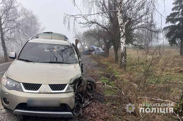 ДТП, в якій травмувалися двоє людей